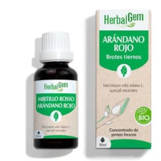 ARANDANO 30 ml BIO