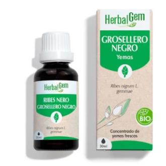 GROSELLERO NEGRO 30 ml BIO