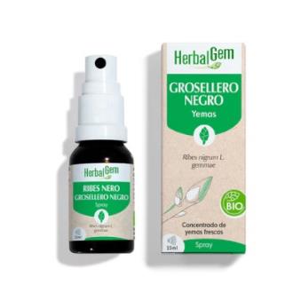 GROSELLERO NEGRO spray 15 ml BIO