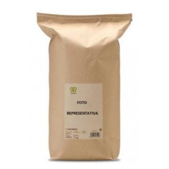 JENGIBRE raiz 1 kg.