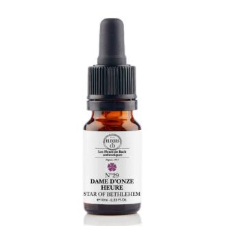 LECHE DE GALLINA 10 ML