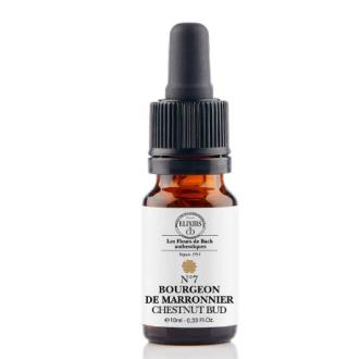 BROTE DE CASTAÑO 10 ML