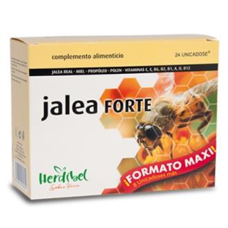 JALEA FORTE 24 Unicadose