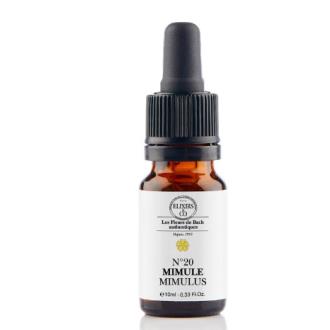 MIMULO 10 ML