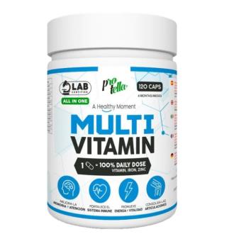 MULTIVITAMINICO vitaminas+hierro+zinc 120cap.