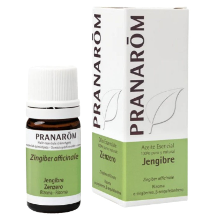 Esencia Jengibre Rizoma 5ml Pranarom