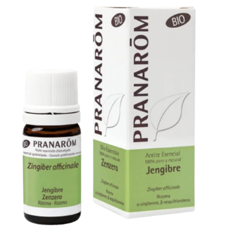 Esencia Jengibre Rizoma Bio 5ml Pranarom