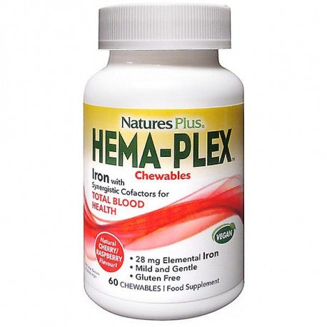 HEMA-PLEX MASTICABLE 60 comp