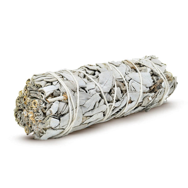Salvia blanca sahumerio