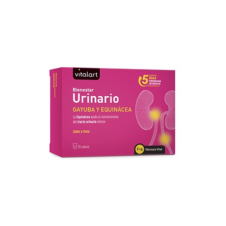 VITALART BIENESTAR URINARIO 10 sobres