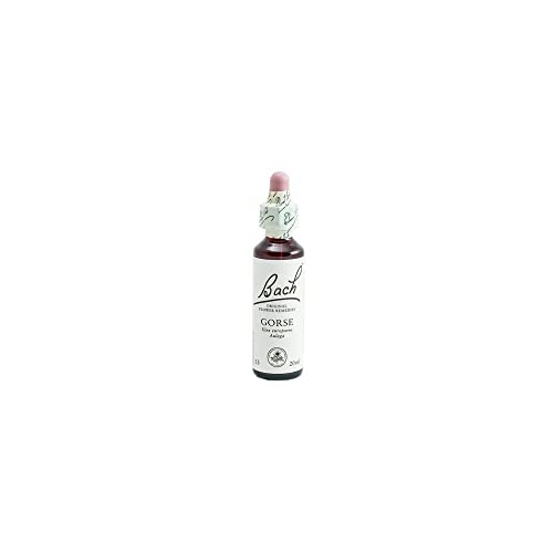 BACH BACHBLUMEN Ginster 20 ml – 20 ml Glasflasche mit Tropfer