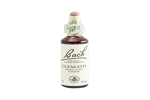 BACH BACHBLUMEN CLEMATIS 20 ml – 20 ml Glasflasche mit Tropfer