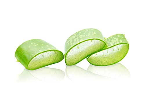 So'Bio Étic Crème Légère Hydratante 24 H Jour au Pur Jus d'Aloe Vera Bio Tube de 50 ml