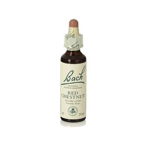 Rote Kastanien-Bachblüten 20 ml Original Bachblüten