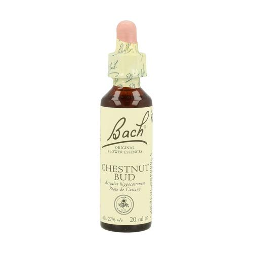 Chestnut Bud FB (Bachblüten) 20 ml Original Bachblüten