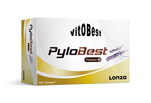 PYLOBEST 60 Kapseln. - Nahrungsergänzungsmittel und Sportergänzungsmittel - Vitobest