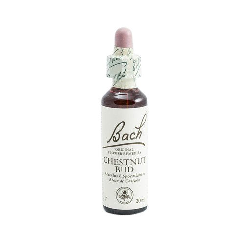 BACH FLORES DE BACH CHESTNUT BUd 20ml - Frasco de cristal de 20 ml con gotero