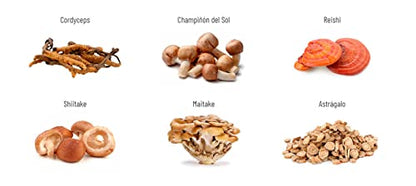 Novadiet - NOVITAKE IMUNO Viales con Vitamina C, Cordyceps, Champiñón del Sol, Reishi, Shiitake, Maitake, Astrágalo, Ayuda a Aliviar Catarros y a Mejorar las Defensas del Organismo - 20 Viales