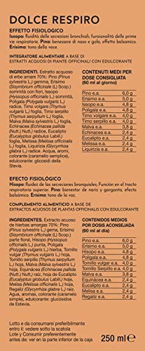 Decotopia Dolce Respiro Plus 250 ml - 1 unidad