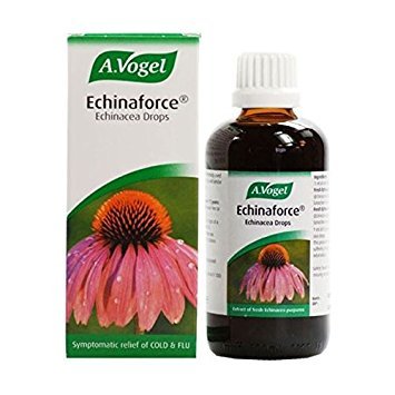 Echinaforce 100 ml (PACKUNG MIT 4 EINHEITEN)