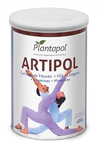 ARTIPOL FLEX bote 300gr.