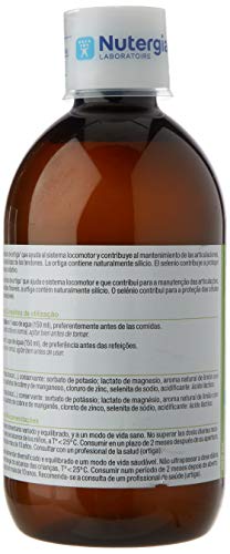 Nutergia - ERGYSIL SOLUCION 500 ml