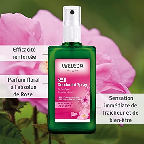 Weleda Wild Rose Deodorant 100ml