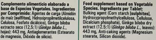 Ginkgo Biloba Retard - 30 Càpsulas - Laboratorios Ynsadiet SA