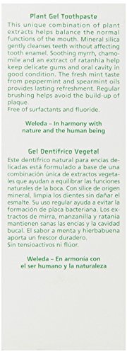 Weleda - Gel dentífrico vegetal Weleda 75 ml - 1 unidad