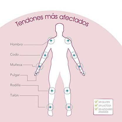 Complemento Alimenticio Regendol Flexi - 14 Sticks - Para el Bienestar de Músculos y Tendones - Ayuda a Mantener la Flexibilidad de las Articulaciones - Favorece la Formación del Colágeno - Eladiet