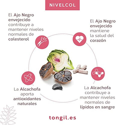 Nivelcol 120 Kapseln | Rote Reishefe, Phytosterole, Policosanol, Artischocke und schwarzer Knoblauch | Hält Ihren Cholesterinspiegel aufrecht, um den Cholesterinspiegel zu senken | Tongil sichere und wirksame Formel