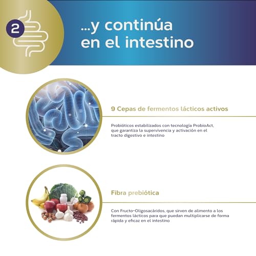 Maxi Enzimas + Probióticos Estado Puro | 18 Enzimas Digestivas Potentes | Con Probióticos y Prebióticos Intestinales | Mejora la digestión y la Absorción de Nutrientes | 40 Cápsulas de Tongil