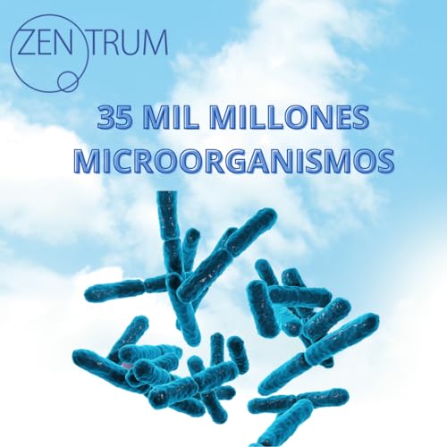 ACTIVE FERMENTUM ZENTRUM 30 cásp, Probiótico/inmunidad