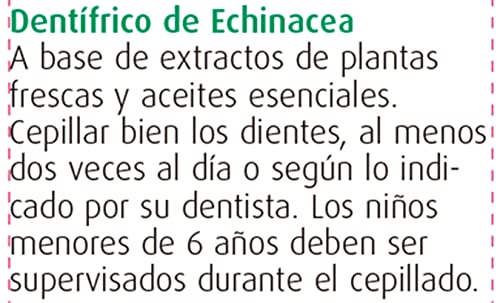 Dentaforce Echinacea | Pasta de dientes y encías delicadas | 100 gr | A.Vogel