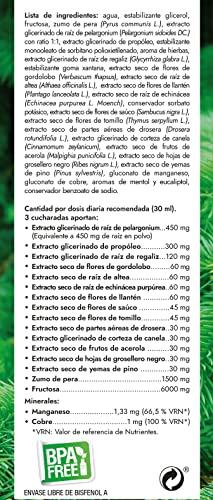 PROTECSAPIN JARABE | Con Yemas de Pino y Extractos de Plantas | Defensas Naturales| NATYSAL