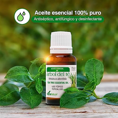 Soria Natural Tea Tree Oil - Powerful Natural Antiseptic, Helps Improve Skin Health, Acne, Fungus, Itching - 100% Pure Essential Oil - 15 ml Bottle