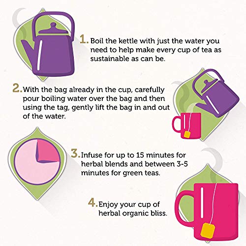 Pukka Infusion Manzana Canela Jengibre 20 Bl Bio 80 g