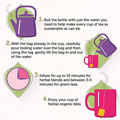 Pukka Infusion Manzana Canela Jengibre 20 Bl Bio 80 g