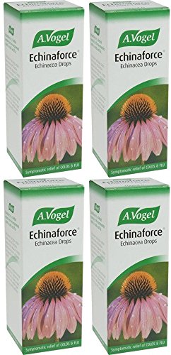 Echinaforce 100 ml (PACKUNG MIT 4 EINHEITEN)