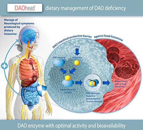DAOhead – Behandlung von Migräne aufgrund von DAO-Mangel/Histamin-Intoleranz – 60 EFICAPS-Kapseln mit magensaftresistenten Tabletten – DAO-Enzym, Vitamin B6, B9, B12 und Koffein
