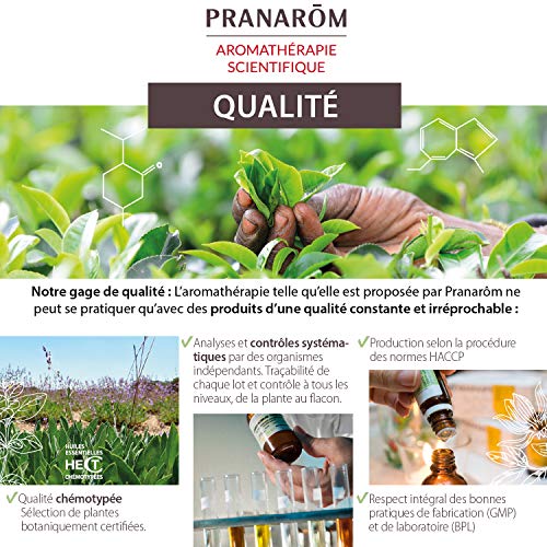 Pranarôm Aceite esencial Laurel, 100% Quimiotipado, laurus nobilis, hoja, respiración, digestión y salud intestinal, cuidados de la piel, higiene bucal, equilibrio emocional, 5 ml