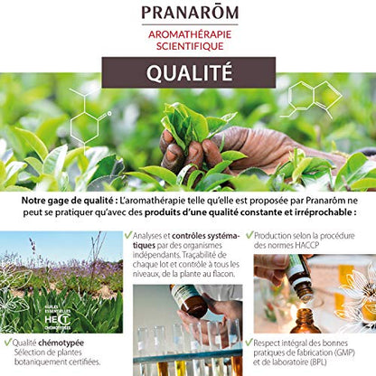 Pranarôm Aceite esencial Laurel, 100% Quimiotipado, laurus nobilis, hoja, respiración, digestión y salud intestinal, cuidados de la piel, higiene bucal, equilibrio emocional, 5 ml