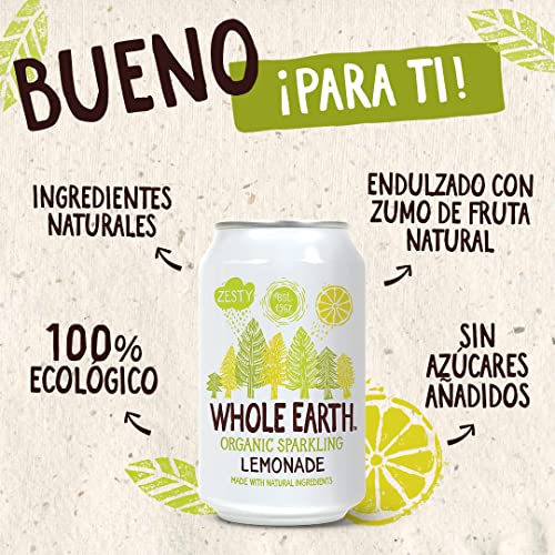 Whole Earth - Pack de 24 Bebidas Refrescantes Ecológicas de Jengibre de 330 ml - Sin Azúcar Añadido y Sin Gluten - Apta para Veganos - Elaborada con Ingredientes Naturales