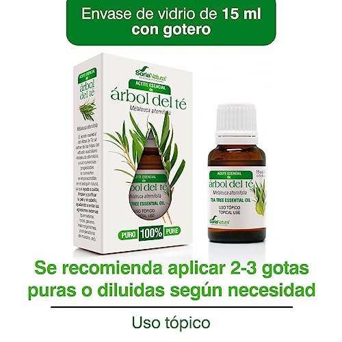 Soria Natural Tea Tree Oil - Powerful Natural Antiseptic, Helps Improve Skin Health, Acne, Fungus, Itching - 100% Pure Essential Oil - 15 ml Bottle