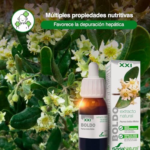 Soria Natural Boldo Extracto - Favorece la Depuración Hepática, Apoya la Digestión y Ayuda a Eliminar Líquidos - 100% Puro - Suplemento de Boldo para la Salud de los Hepática - Botella de 50 ml