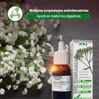 Soria Natural Milenrama Extracto en Gotas – Ayuda a la digestión – Propiedades Antiinflamatorias y Antiespasmódicas - 100% Natural – Apoya en los Procesos de Menstruación - Frasco de 50 mL.