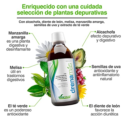 Soria Natural Drenamas - Detox Natural y Retención de Líquidos - Complemento Dietético Natural - Control de Peso - 500ml