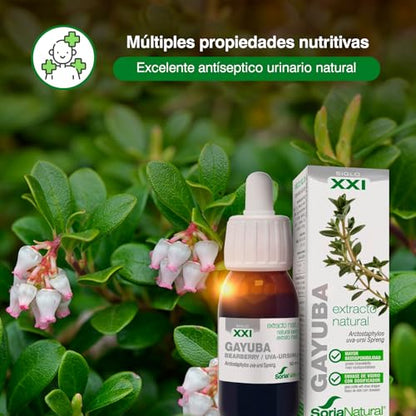 Soria Natural Gayuba Extracto - Antiséptico Natural Urinario, Favorece la Salud de las Vías Urinarias y el Efecto Diurético - 100% Puro - Salud de la Vejiga - Botella de 50 ml