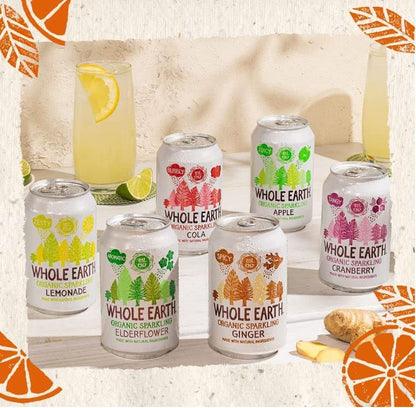 Whole Earth - Pack de 24 Bebidas Refrescantes Ecológicas de Jengibre de 330 ml - Sin Azúcar Añadido y Sin Gluten - Apta para Veganos - Elaborada con Ingredientes Naturales