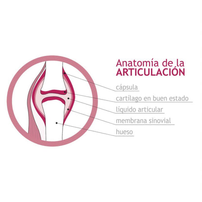 Complemento Alimenticio Regendol UC-II - 30 Comprimidos - Contribuye al Mantenimiento de Huesos y Articulaciones - Favorece la Formación del Colágeno - Rico en Vitaminas C, D y K2 - Eladiet